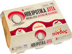 Ηπειρώτικα Αυγά Πίνδος Αχυρώνα Με Καλαμπόκι 6αδα 53-63 (Μ)