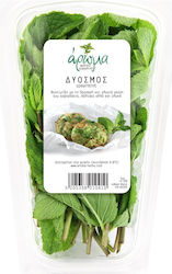 Άρωμα Δυόσμος Ελληνικός Κουτί 25gr