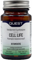 Quest Cell Life Quest Cell Life