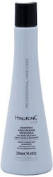Phytorelax Hyaluronic Acid 250ml