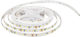 Eurolamp LED Strip Power Supply 24V with Purple Light Length 5m SMD2835