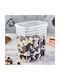 TnS Plastic Lunch Box Transparent 2pcs