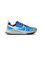 React Pegasus Trail 4 Sport Shoes Trail Running Blue