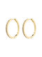 Pilgrim Σκουλαρίκια Κρίκοι Επιχρυσωμένα με Πέτρες