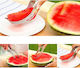 Stainless Steel Watermelon Cutter