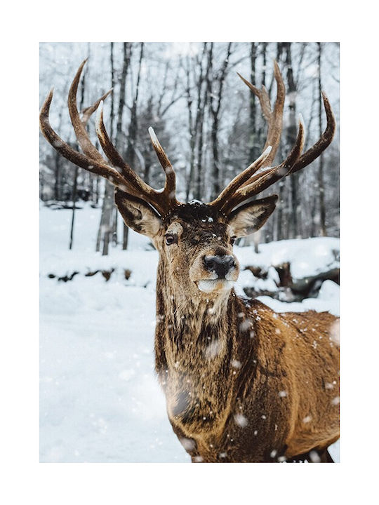 Walls Poster Deer Walls 102583 02 09 015 020 15x20cm