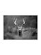 Walls Poster Deer 20x15cm