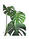 Walls Αφίσα Monstera 15x20cm