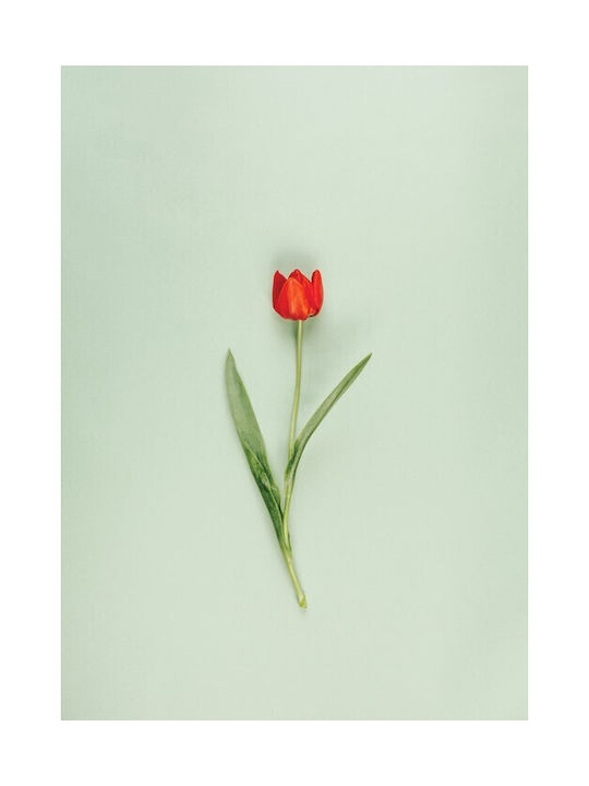 Walls Poster Red Tulip 15x20cm