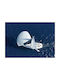 Walls Poster White Sailing Ship In The Sea 20x15cm
