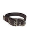 Dog Collar Brown