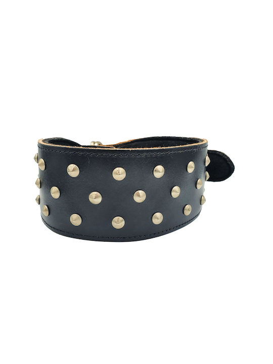 ByLeather Hundehalsband Leder in Schwarz Farbe Klein 60cm