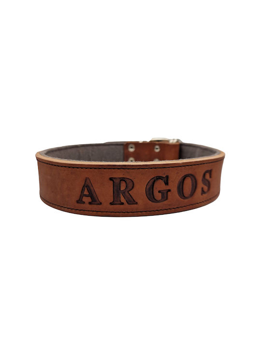 Dog Collar 60cm Small Brown