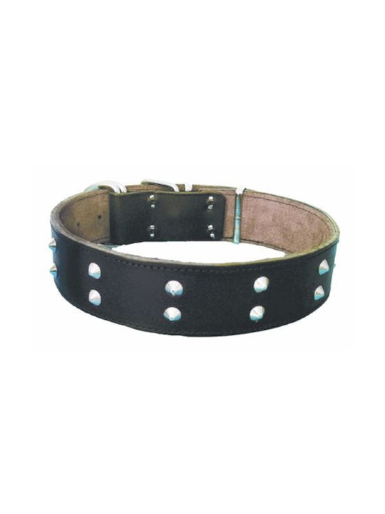 Dog Collar Leather in Black color 40mm x 55cm