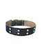 Dog Collar Leather in Black color 40mm x 55cm