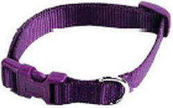 Papillon Dog Collar in Purple Color 25mm x 70cm Papillon Dog Collar in Purple Color 25mm x 70cm