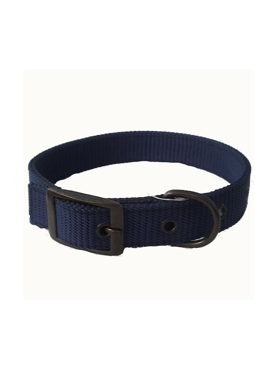 Funky Pet Hundehalsband in Blau Farbe