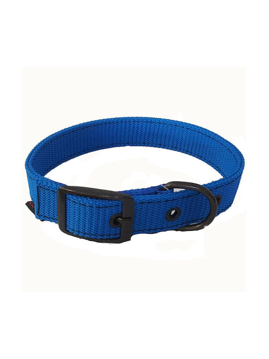 Funky Pet Dog Collar Blue