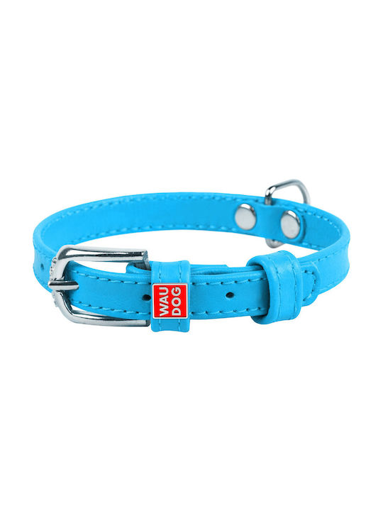 Collar Dog Collar Blue