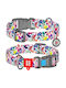 Collar Dog Collar Multicolour