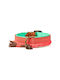 DWAM Dog Collar in Orange color