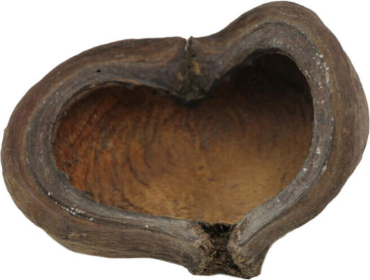 Ceramic Nature Ceramic Nature Thelambu Pods Decorațiune Lemn Acvariu 45276