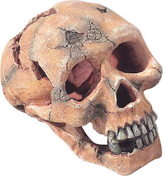 Aqua Della SKULL L Διακοσμητική Νεκροκεφαλή Ενυδρείου Aqua Della SKULL L Διακοσμητική Νεκροκεφαλή Ενυδρείου