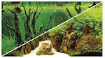 Hobby Aquarium Decoration Poster 18075