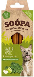 Soopa Dog Dental Stick 100gr