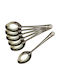 HOMie HOMie Löffel Dessert / Eiscreme Metallisch Silber 17cm