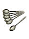 HOMie HOMie Dessert / Eiscreme Metallisch Silber Löffel 14cm