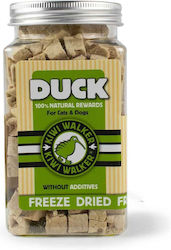 Kiwi Walker Katzenleckerlis für Erwachsene Katzen 80gr Kiwi Walker Katzenleckerlis für Erwachsene Katzen 80gr