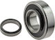 NTY Wheel Bearings