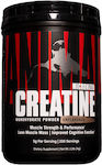 Animal Creatine