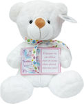 Plush Bear 25 cm