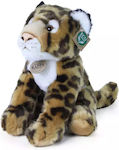 Rappa Plush 30 cm