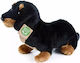 Rappa Plush Toy Puppy 30cm