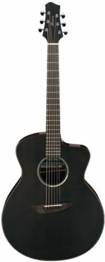 Ibanez Akustisch Gitarre Ausschnitt Schwarz