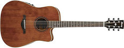 Ibanez Acoustic Guitar Brown