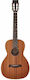 Richwood Acustică Chitară Maro