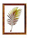 Far Wooden Wall-Mounted Photo Frame With Gold Frame