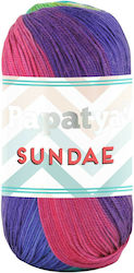 Papatya Synthetic Knitting Yarn 320m 100gr