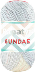 Papatya Synthetic Knitting Yarn 320m 100gr