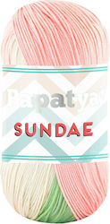 Papatya Knitting Yarn