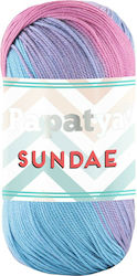 Papatya Synthetic Knitting Yarn 320m 100gr