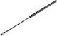NTY Trunk Shock for Ford Mondeo