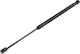 NTY Trunk Shock for Renault Megane