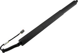 NTY Trunk Shock for Ford Edge