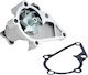 NTY Car Water Pump for Kia Cerato / Rio Hyundai Accent / Elantra / Getz / Matrix