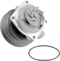 NTY Car Water Pump for Fiat Brava / Bravo / Doblo / Marea / Multipla / Palio / Siena / Stilo Lancia Dedra / Delta / Lybra NTY Car Water Pump for Fiat Brava / Bravo / Doblo / Marea / Multipla / Palio / Siena / Stilo Lancia Dedra / Delta / Lybra